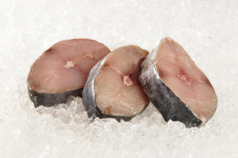 Croaker-steaks-1
